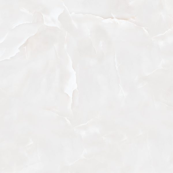 -100-100Marcela Gray