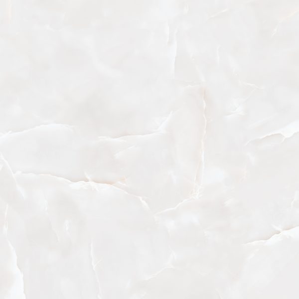 -100-100Marcela Gray