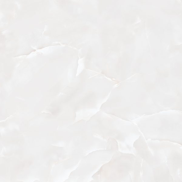 -100-100Marcela Gray