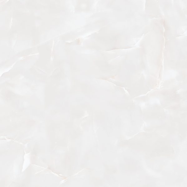 -100-100Marcela Gray