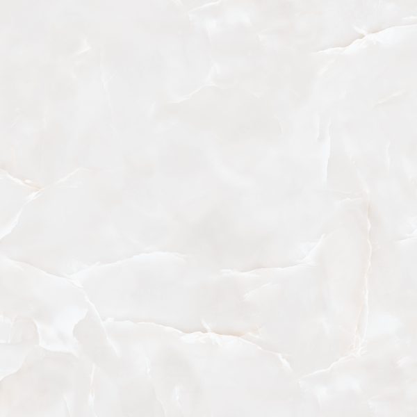 -100-100Marcela Gray